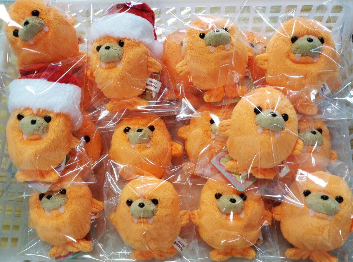 セイウチWaiting【まんぼう屋ドットコム】