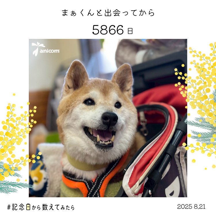 まぁくん　小さくなって帰って来ました

たくさんのお悔やみと温かいメッセージありがとうございます💕
少しずつ返していければと思ってます

君と一緒の時間は楽しくて本当に幸せだった☘️
まぁくん　ありがとう💛

元気になって戻って来ますね✨