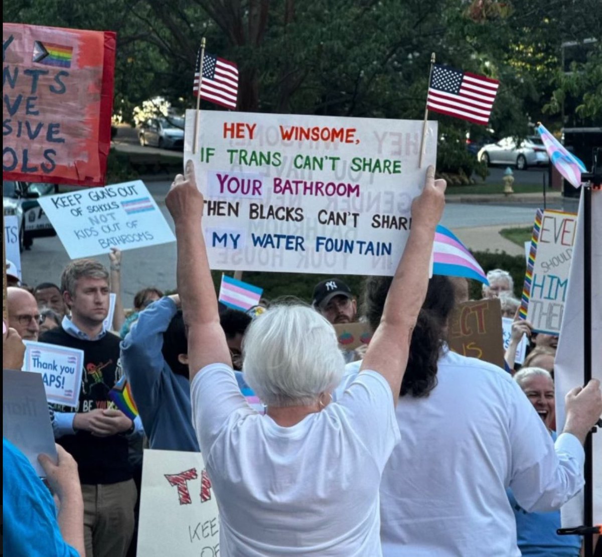 Curious who held up that racist sign in Virginia today attacking Lieutenant Governor Winsome Sears?

She's a professional radical Democrat protestor called Anita Martineau.