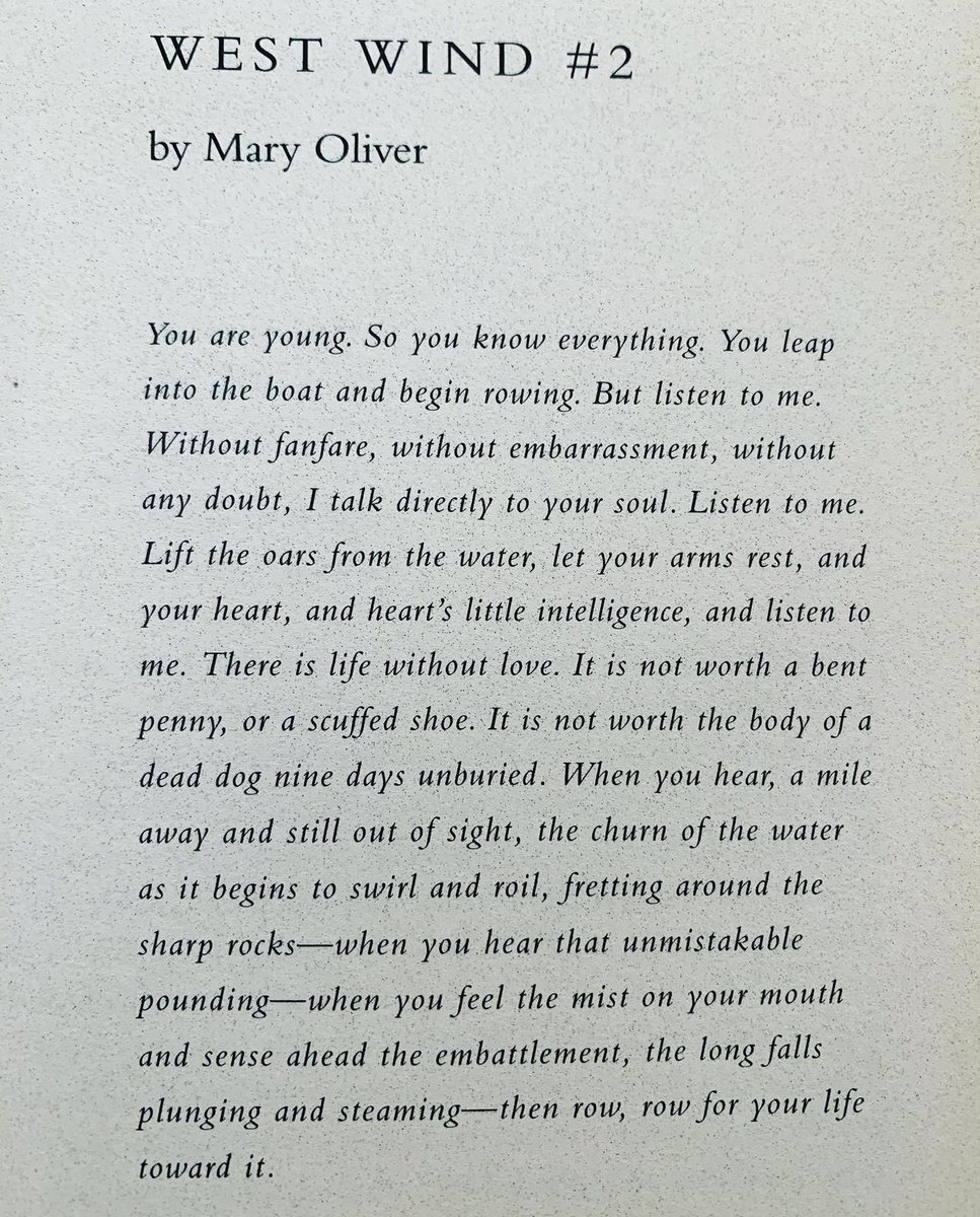 Peege (@bloodsigns) on Twitter photo 