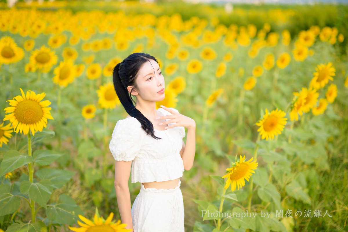 ⁡

                   ✼••┈┈ 𝑺𝒖𝒏𝒇𝒍𝒐𝒘𝒆𝒓 𝑺𝒑𝒆𝒍𝒍 ┈┈••✼

📸photo by <a href="/yamiyo_02/">闇夜の流離人</a> さん