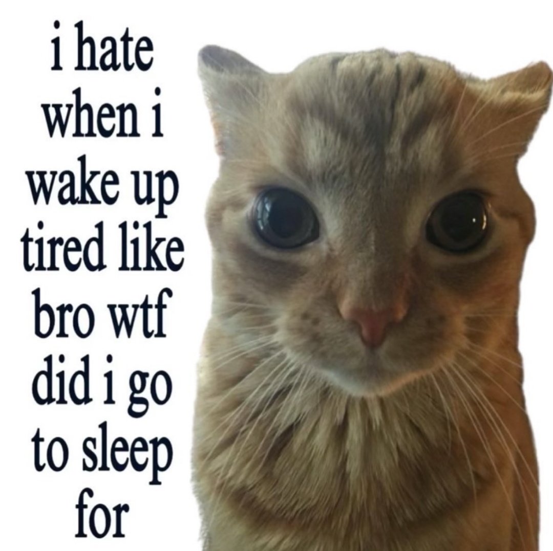 rifankei's tweet photo. can i live like a cat and just meow meow? ☝🏻😔 https://t.co/V9TKv4A2Al