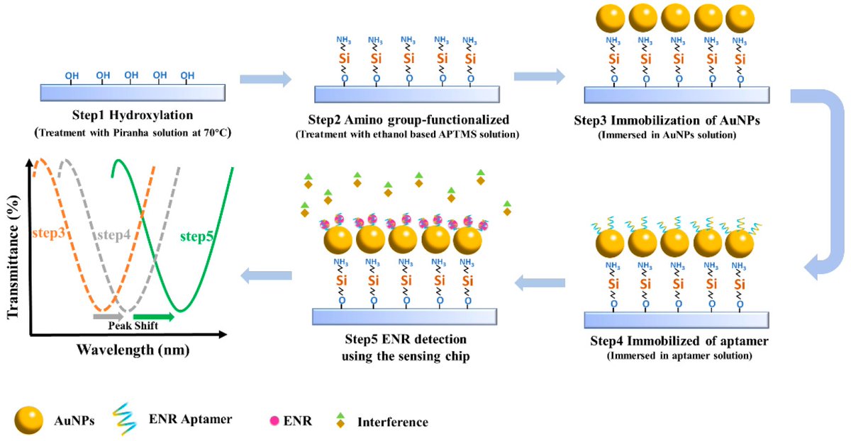 Biosensors_MDPI's tweet photo. 📣Call for Reading
#Article
A Novel Aptamer Biosensor Based on a Localized Surface Plasmon Resonance Sensing Chip for High-Sensitivity and Rapid Enrofloxacin Detection
by Pan Wang, et al.
https://t.co/Kzx7yxBIxA
#aptamer #AuNP #LSPR #Enrofloxacin
#biosensors #mdpi #openaccess https://t.co/WirkhOKZHH