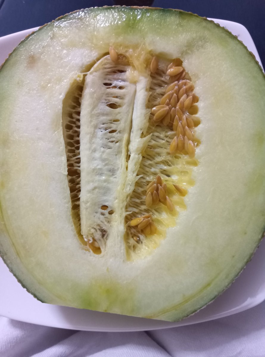 最近頑張ってる自分へのご褒美に昨晩食べた🍈✨