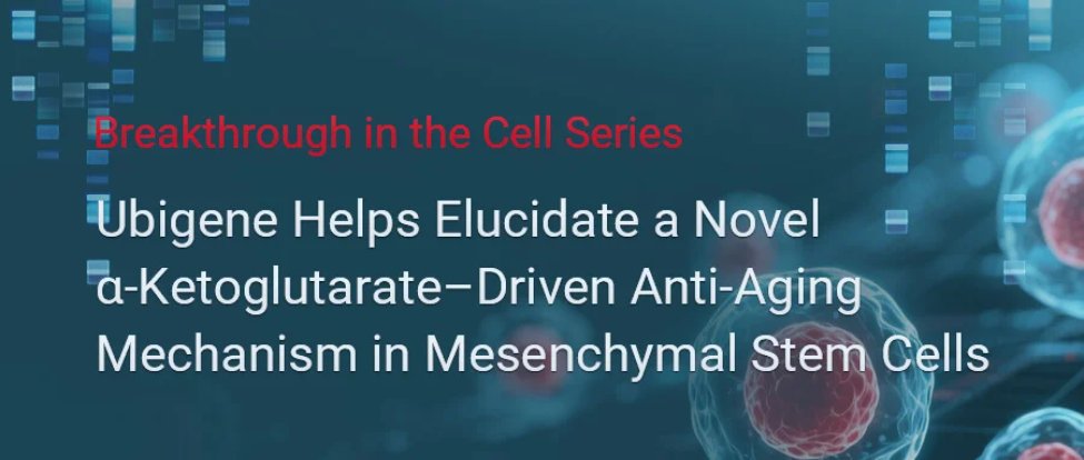 🥳AKG delays MSC aging via RPS23 hydroxylation &amp; OGFOD1! Scutellarin activates IDH1 for protein homeostasis. Ubigene’s cell models powered this Cell Reports breakthrough.  🥼Fight aging: ubigene.us/application/ce… #AntiAging #CRISPR #StemCells #geneediting #science #research