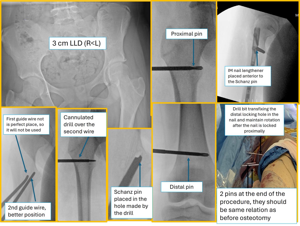 Amr Abdelgawad tweet media