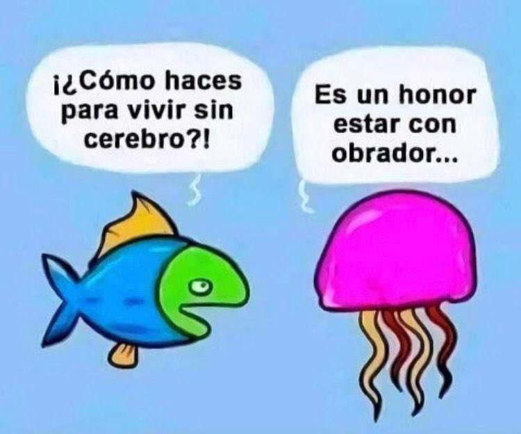 José Ernesto Diez Barroso Acevedo (@oso3339) on Twitter photo <a href="/QuePocaMadre_Mx/">QUÉ POCA MADRE 🇲🇽</a> <a href="/adan_augusto/">Adán Augusto López H</a> <a href="/liliaaguilarmx/">Lilia Aguilar Gil</a> <a href="/LillyTellez/">Lilly Téllez</a> Drogada y pendeja está la "chueca" <a href="/liliaaguilarmx/">Lilia Aguilar Gil</a> , el león creé que todos son de su condición... <a href="/QuePocaMadre_Mx/">QUÉ POCA MADRE 🇲🇽</a> <a href="/adan_augusto/">Adán Augusto López H</a> <a href="/liliaaguilarmx/">Lilia Aguilar Gil</a> <a href="/LillyTellez/">Lilly Téllez</a> Drogada y pendeja está la "chueca" <a href="/liliaaguilarmx/">Lilia Aguilar Gil</a> , el león creé que todos son de su condición...