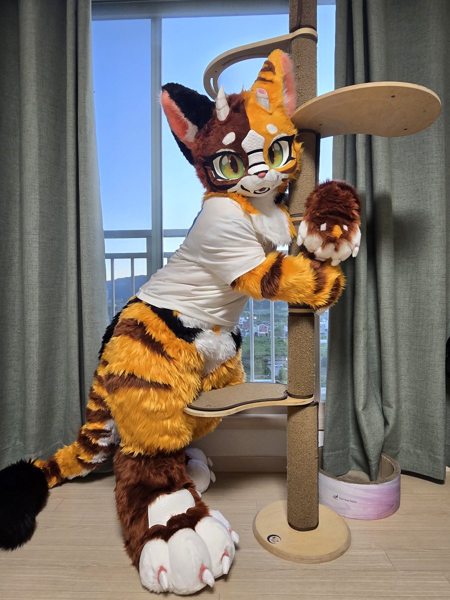 캣타워 오르기🐱🚩

#FursuitFriday