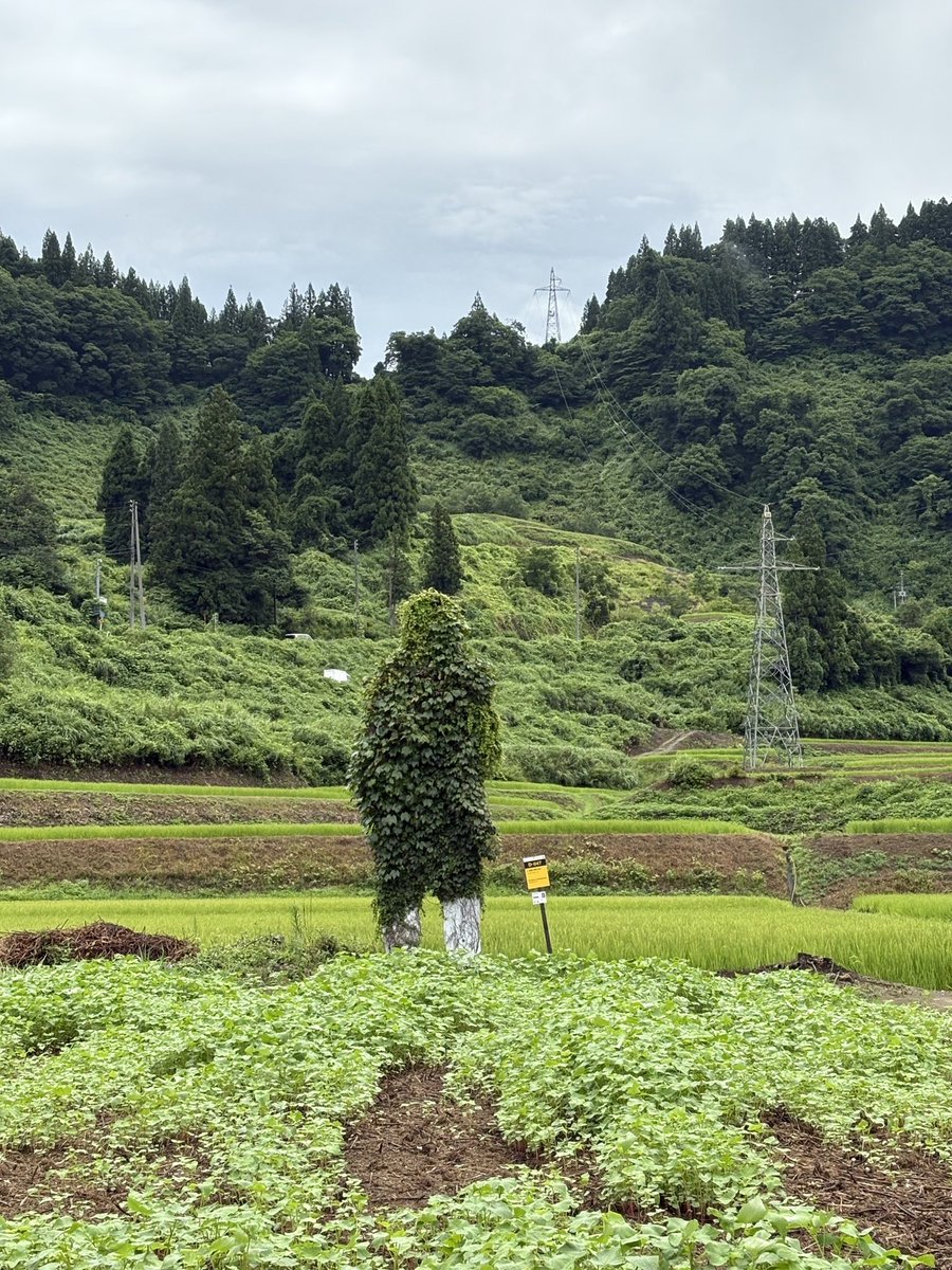 株式会社グローバルナイン tweet media