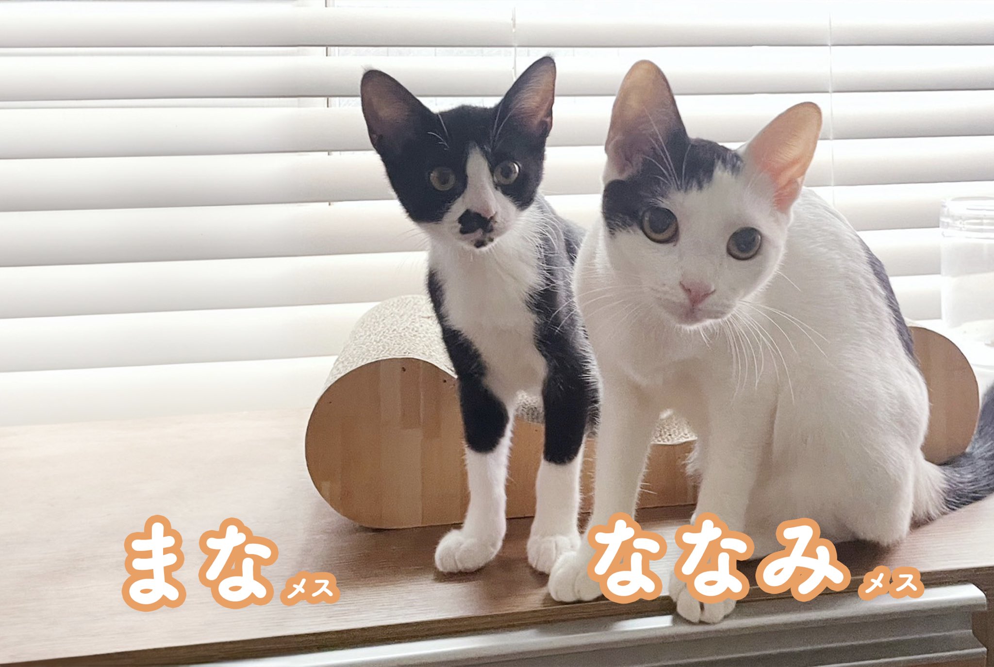 ねこさん様へ feelingoods on X: 