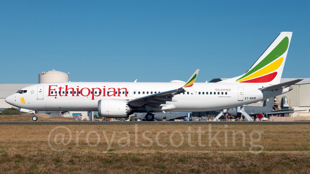 Royal S King ☀️📷🛩 tweet media