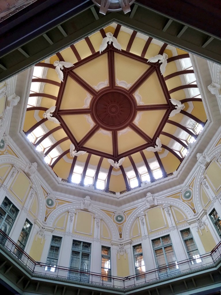 今日は久野綾希子さんの命日ですね…ラチェットさんのお姿をまた見たかったな🌸

東京駅丸の内口のドームの天井のレリーフは鷲だそうなので見に来ました
飛び立つ鷲の姿に想いを馳せてみてもいいかもしれません…🌸