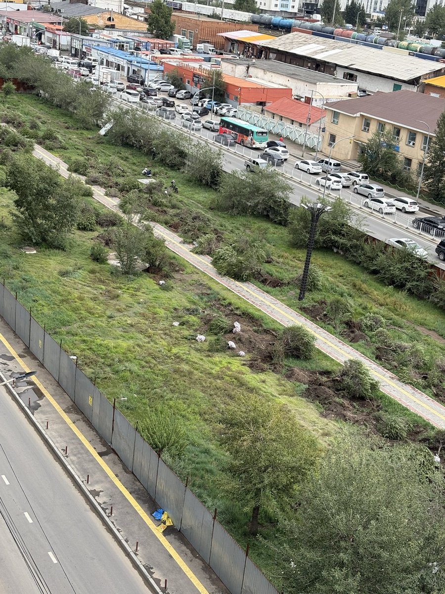 Гол харлаад үхлээ