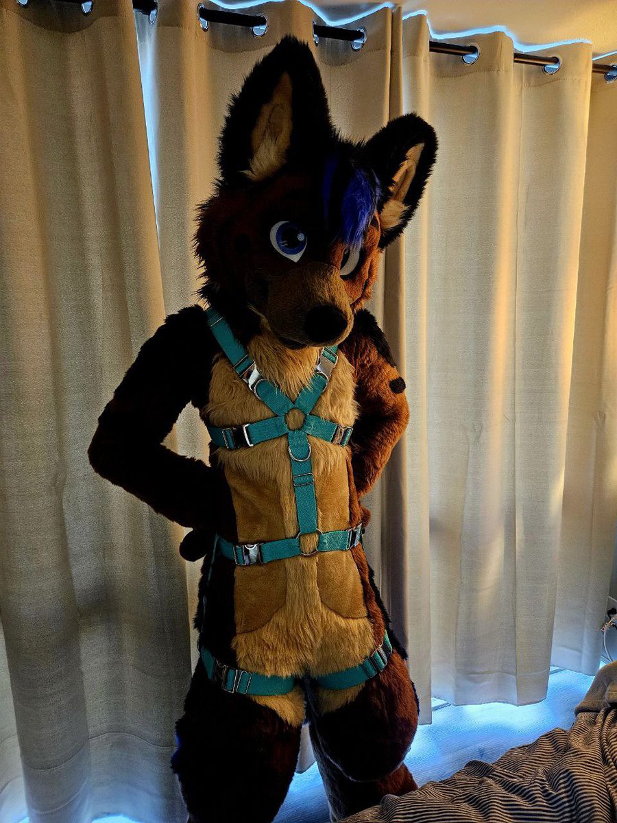 SonarShep (@sonarsheppy) on Twitter photo Happy #FursuitFriday everybody! Sorry for being gone, but I traveled and now is an Island Shep! Still settling in and making new friends where I live, but here is some fluffy! With me trying on my friendβs Harness, I would say it looks pretty good!
π· <a href="/SeafaringSable/">π± π¬ππππ π±</a>
#furry Happy #FursuitFriday everybody! Sorry for being gone, but I traveled and now is an Island Shep! Still settling in and making new friends where I live, but here is some fluffy! With me trying on my friendβs Harness, I would say it looks pretty good!
π· <a href="/SeafaringSable/">π± π¬ππππ π±</a>
#furry