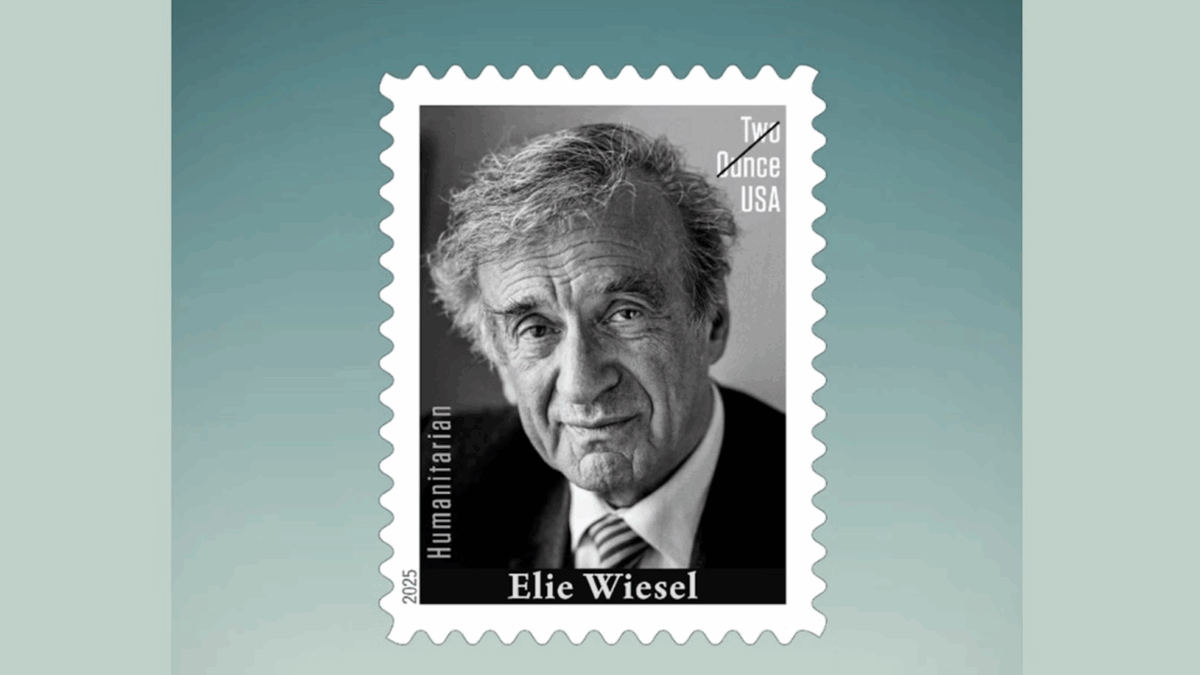 Daniella tweet media