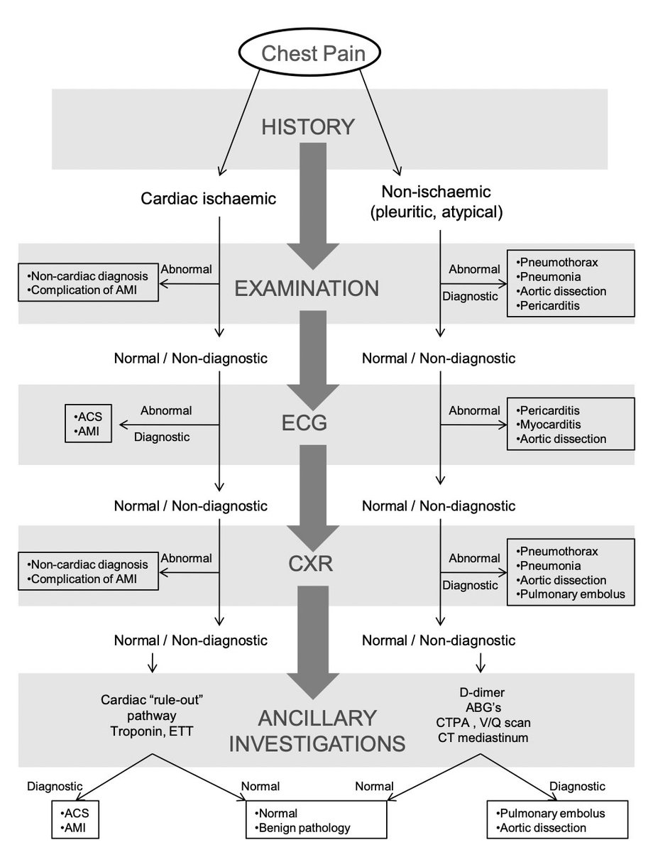 drsthanus's tweet photo. Chest Pain algorithm. 

https://t.co/Z8WxjSwmNj https://t.co/Ts91c0xr7k
