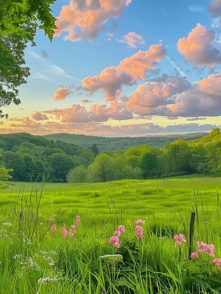 Aleksandar Mitrovic (@aleksan52094351) on Twitter photo 