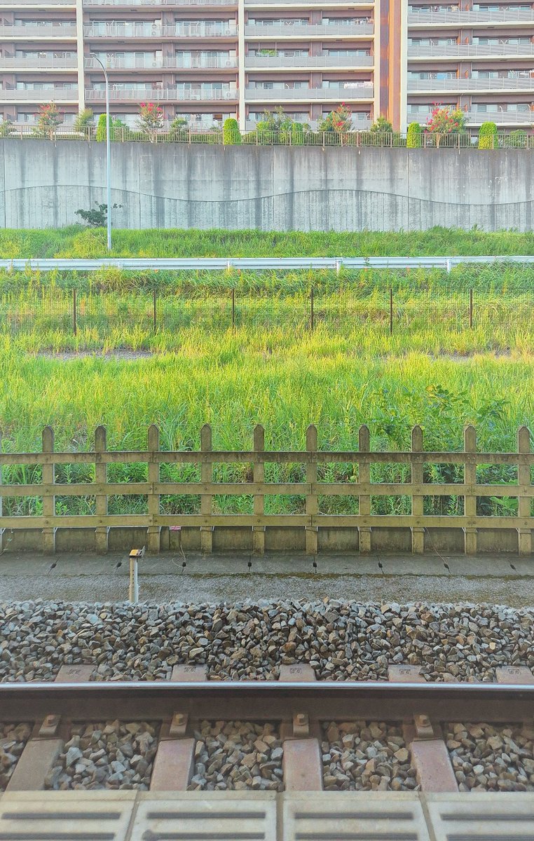 이름은 비워둘 수 없습니다 tweet media