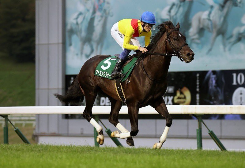 【中古】30years Iwate Keiga 岩手県競馬組合30周年記念誌 岩手県競馬組合30周年記念誌 / 古本、中古本、古書籍の通販は