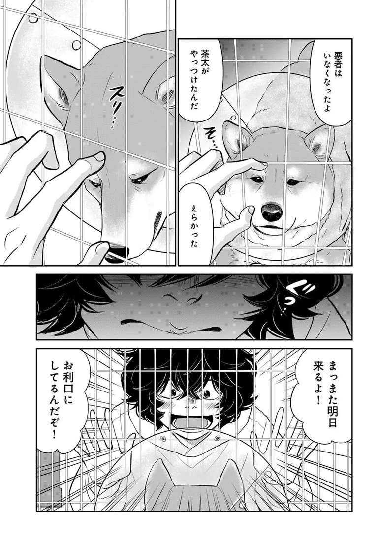 ðæŽæ°æ
å ±ð
ãDOG SIGNALã(äœ:ã¿ããã¡æ²ç¢@DogSignal)
第57話â¡ãå
¬éããŸãã!
æè¡ã¯ç¡äºã«çµãã--ð¥ã©ãããæ¥œãã¿ãã ãã!
https://t.co/Vvr74hnWP0
#ã«ãã³ã #ã³ããã¯ããªããž #ãã¡ã®ãã·ã°ãã«