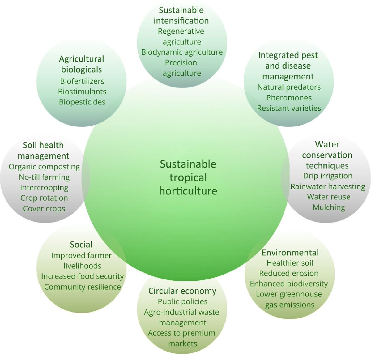 MaximumAcademic's tweet image. #TiH
Tropical horticulture boosts livelihoods but faces pests, soil degradation, and climate change. Sustainable practices ensure resilience and food security.🌴🌍 
@HortiPlant @vanderrochaphd @NewPhyt #TropicalHorticulture Details: maxapress.com/article/doi/10…