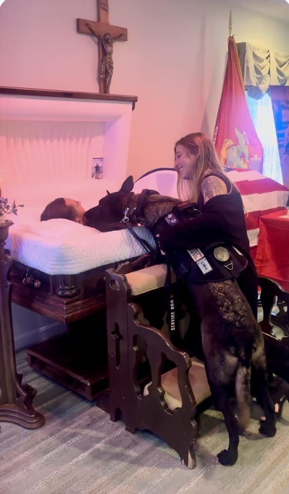 US Marine Raymond Tourville’s service dog, Draven, arrived all the way from California to see his partner and bid farewell to his fallen friend. Draven stood loyally by Raymond’s side during his service, shared a heart-wrenching moment at his casket.