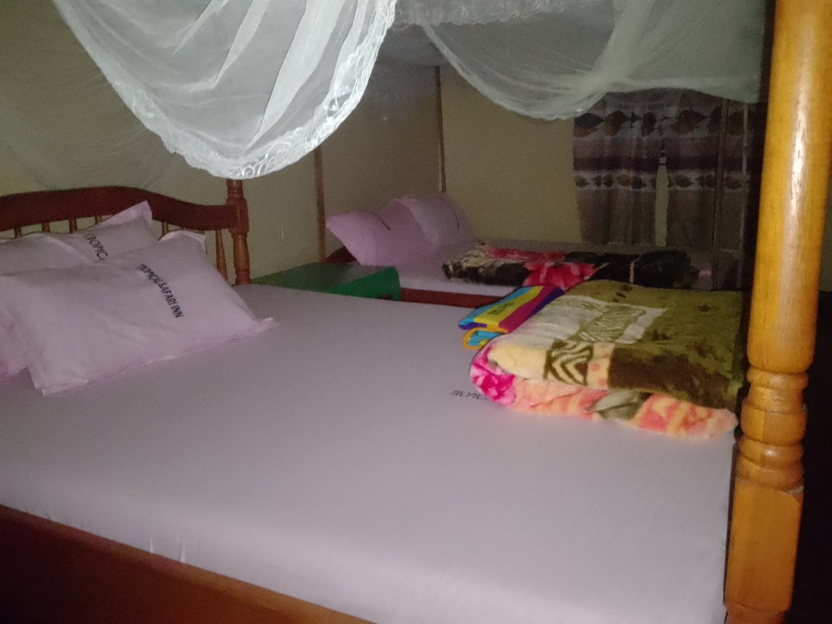 TonnyBwamb9698's tweet image. #ACCOMMODATIONS in kasese have you booked for your stay .. rooms are still available..call from inquiries 0770767251..
@jeericknews @StephenMGonzaga 
@RwenzoriMarathn