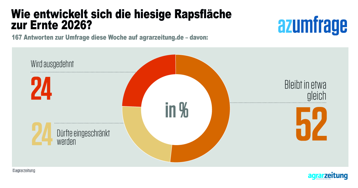 Die deutsche Rapsfläche zur Ernte 2026 bleibt in etwa gleich. Das meint mehr als die Hälfte der Teilnehmer an der aktuellen Umfrage der #agrarzeitung (az).