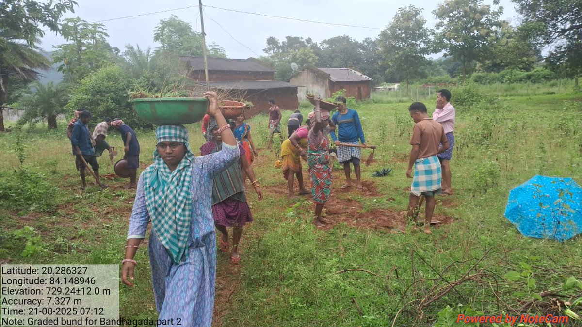 Panchayat Samiti, Phiringia tweet media