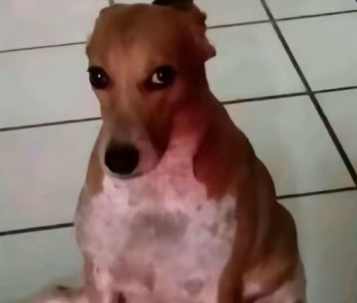 Varas 4,3 eso fue MÁS playo