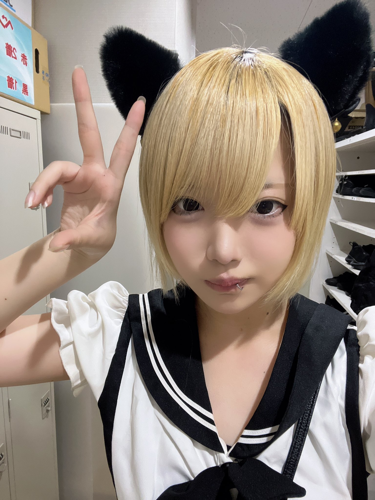 猫華るる🐈‍⬛♡（ねこはるる） (@CandyCats_ruru) / X