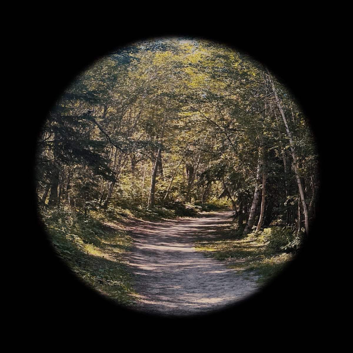 CaRterWMusic's tweet image. my new song ‘looking glass’ is out now on all streaming platforms. give it a spin for me if you get the chance 🫶🏼 appreciate y’all