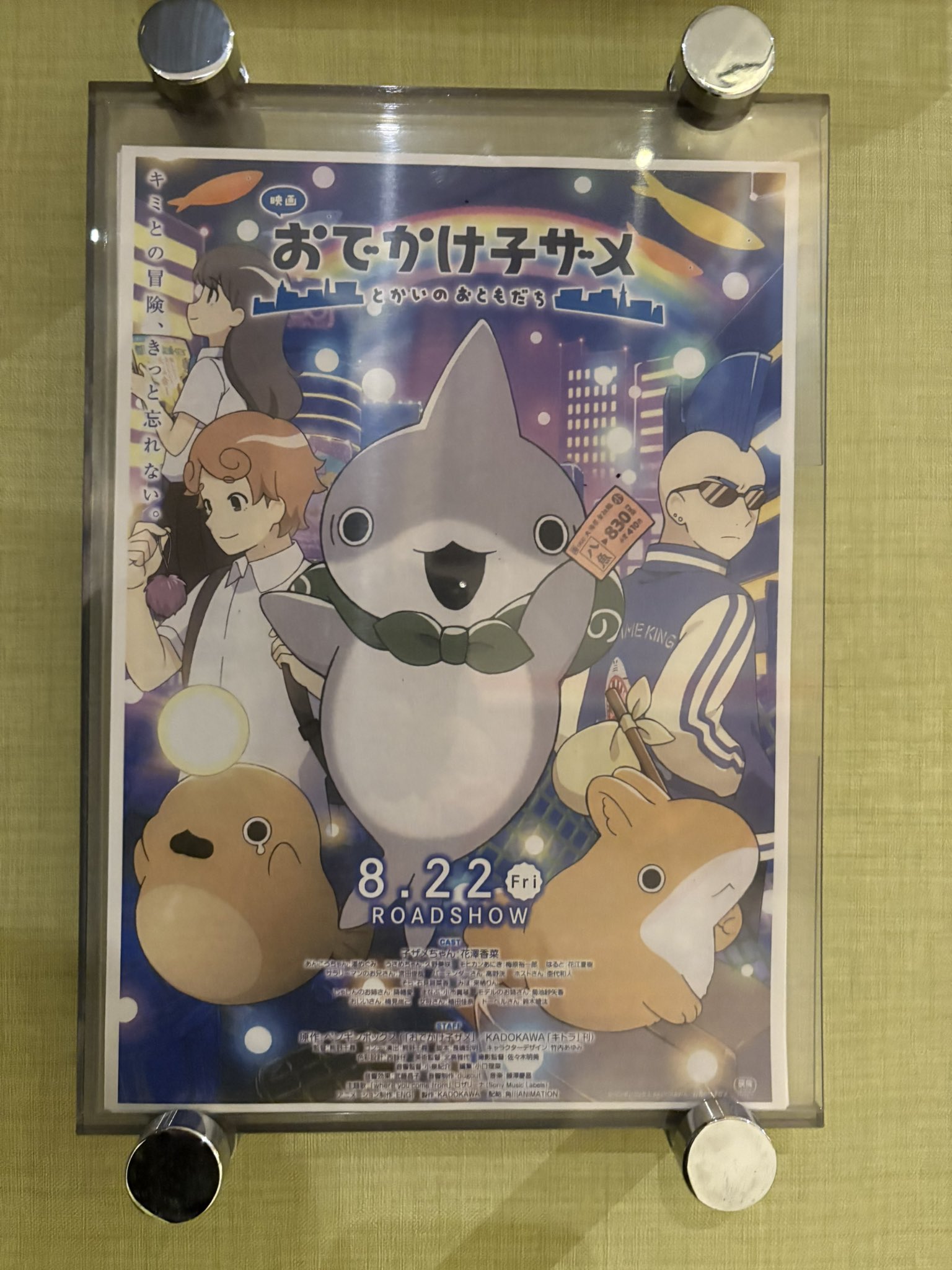ザメちゃん確認 sono on X: 