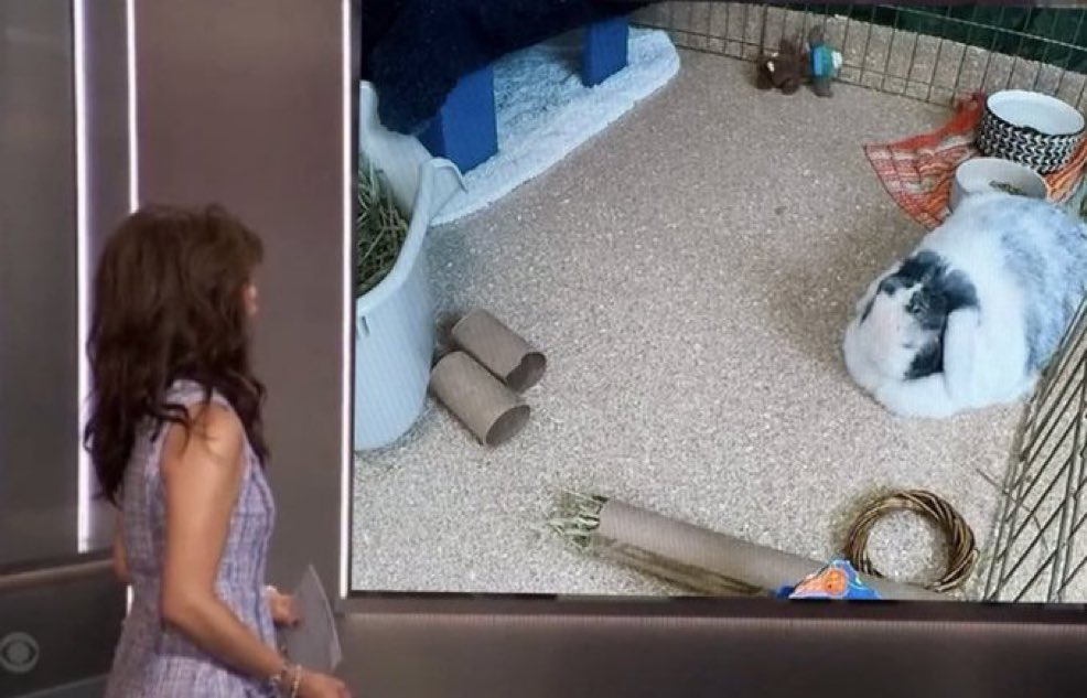 BBUS2026 News tweet media