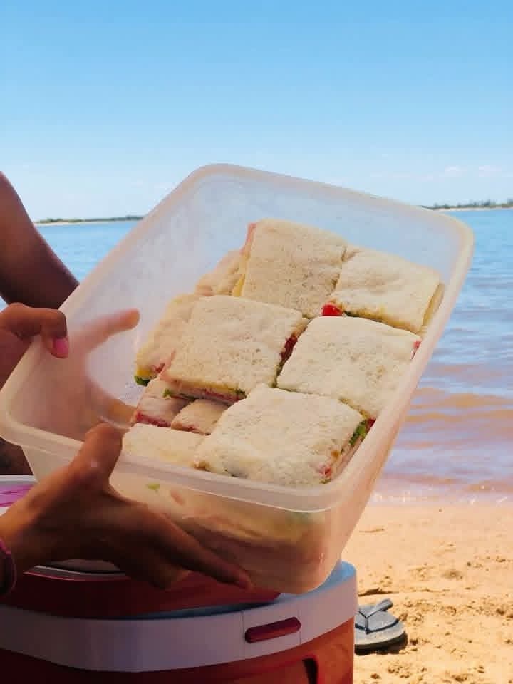 Un taper lleno de sanguchitos en la playa me haría muy feliz