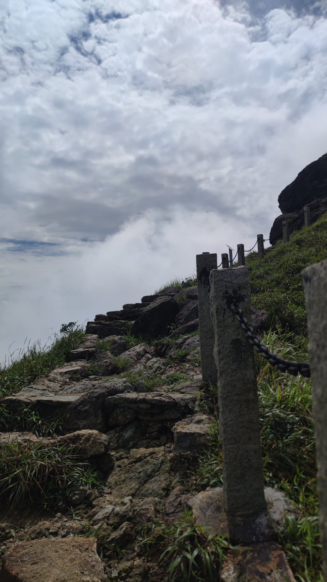 Eventide Fareana✨ tweet media