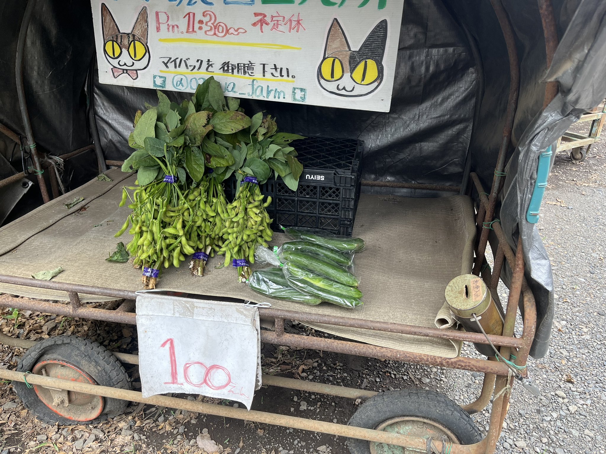 農家直売所☆小沢ちょこ助【小沢農園】 on X: 