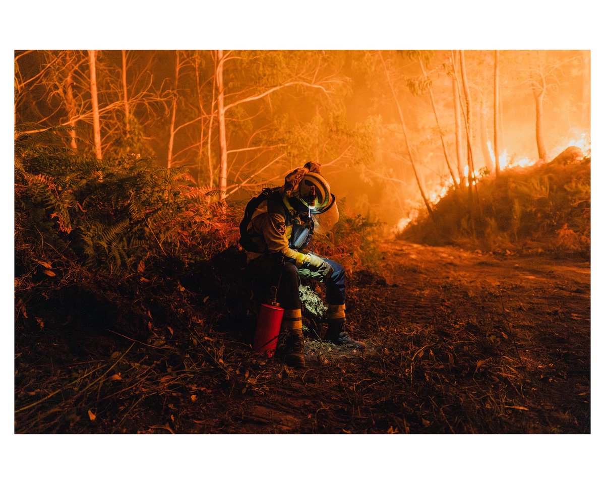 Pedro Pascual tweet media