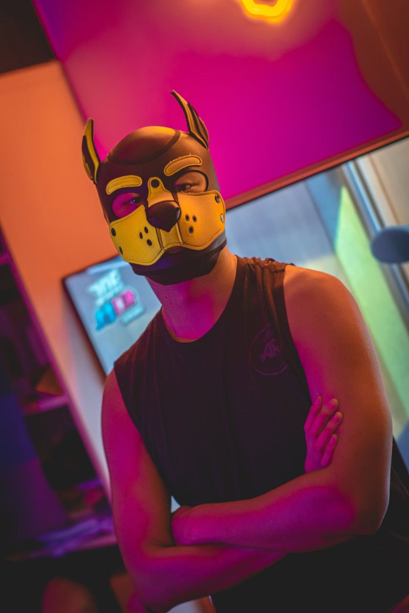 我是坏狗
还有人会喜欢我吗