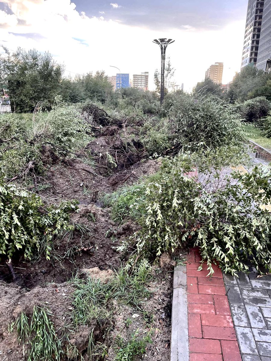 Бүтэн цэцэрлэгт хүрээлэнг тэр чигт нь террор хийжээ! 🤬🤬🤬