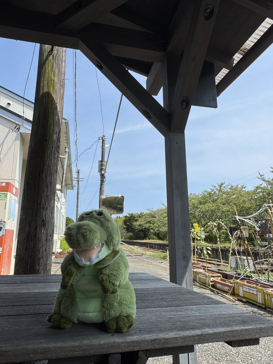 ワーリーといすみ市の方までブルーベリー狩りしに来ました:)