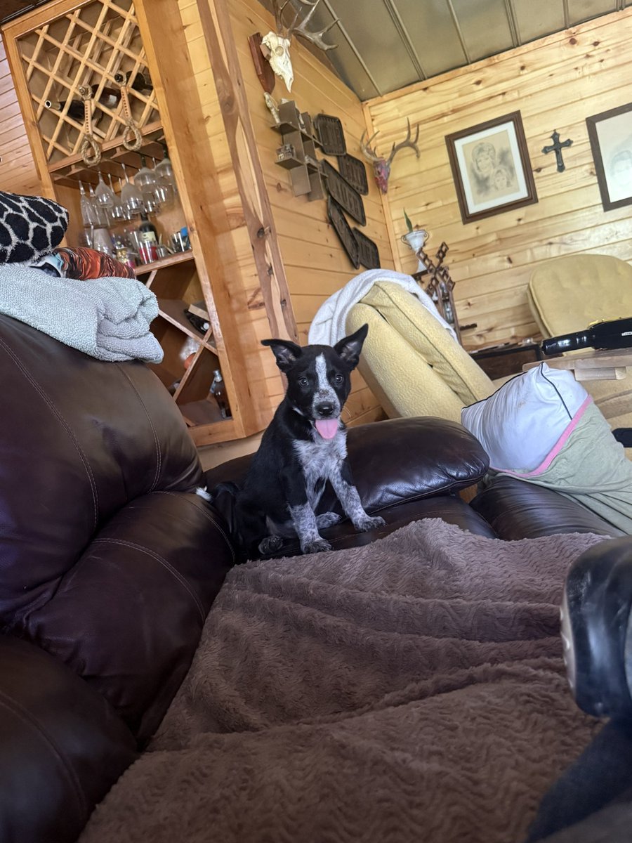 Laramie Kade Phillips tweet media