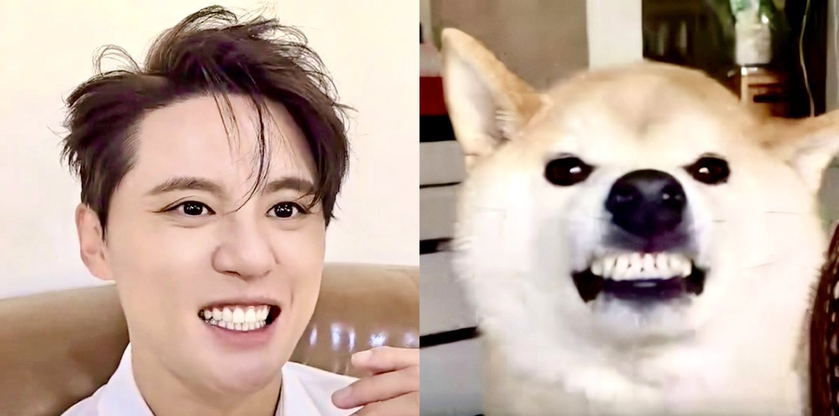 𝘎𝘳𝘳𝘳𝘳…😬🐶