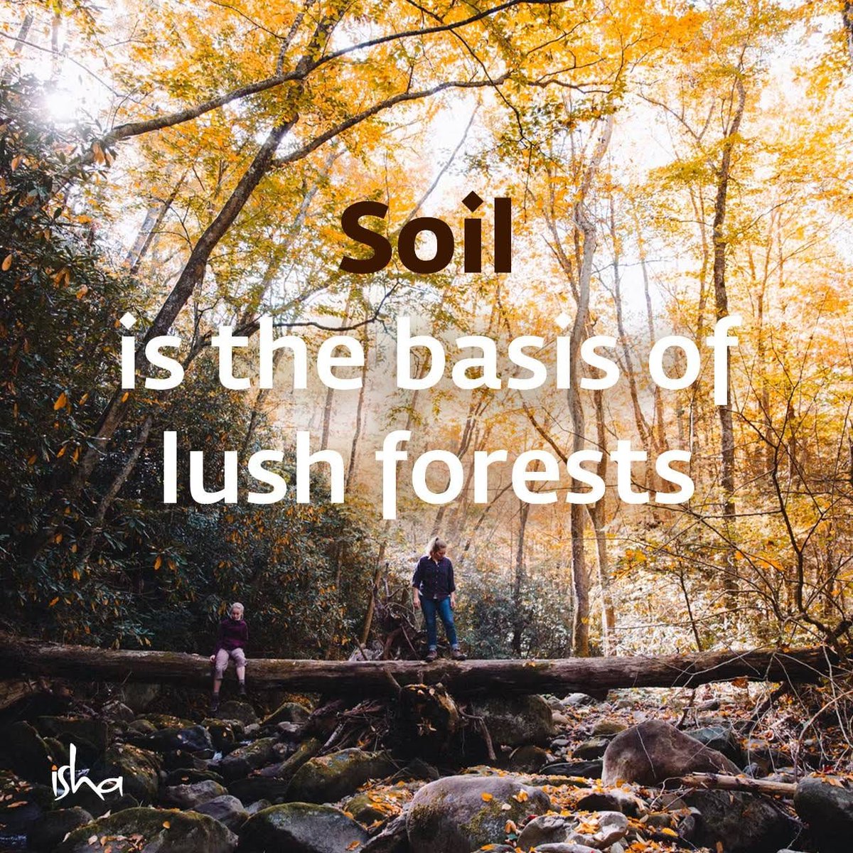 nosoil_nofood's tweet photo. #SaveSoil #savesoilwave #SaveSoilSaveLife #savesoilmovement @SadhguruJV @cpsavesoil #WorldUnitesForSoil https://t.co/Aw5zxct7wB