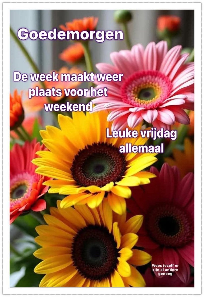 Goedemorgen iedereen
