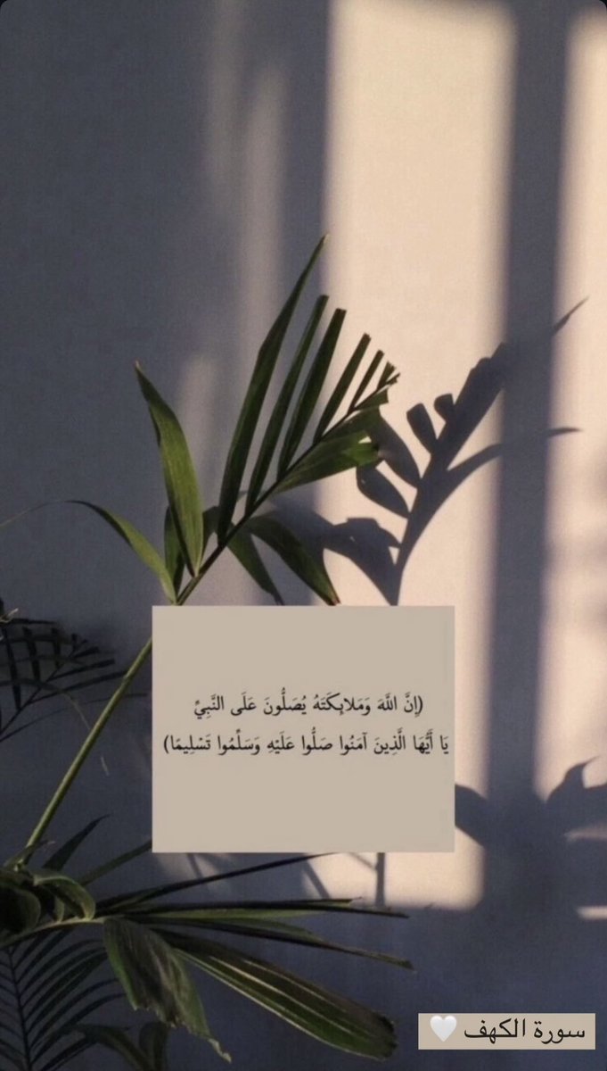 ✨ tweet media