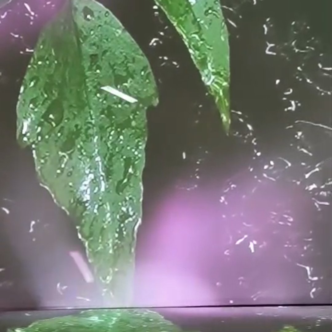 AstucesdeParis's tweet photo. Prenez une pause avec une #experiencesensorielle unique au @KoreaCenterFR jusqu'au 6 septembre

Plongez dans l'#exposition #immersive «#Topologiedeleau : Roches, Plantes et Vent»
Une œuvre poétique et mystique qui explore le lien entre l'eau et la nature

https://t.co/8hrapyaKM9 https://t.co/QrqzAmUGOi