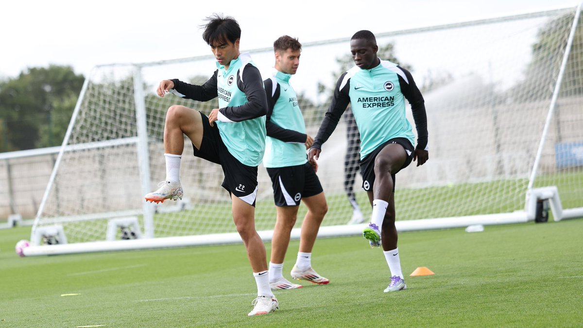 ブライトン & ホーヴ・アルビオン on X