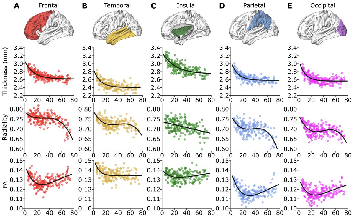 New paper in Imaging Neuroscience by J. Alejandro Acosta-Franco, Graham Little and Christian Beaulieu:

High resolution diffusion tensor imaging of the human cortex reveals non-linear trajectories over the healthy lifespan

doi.org/10.1162/IMAG.a…