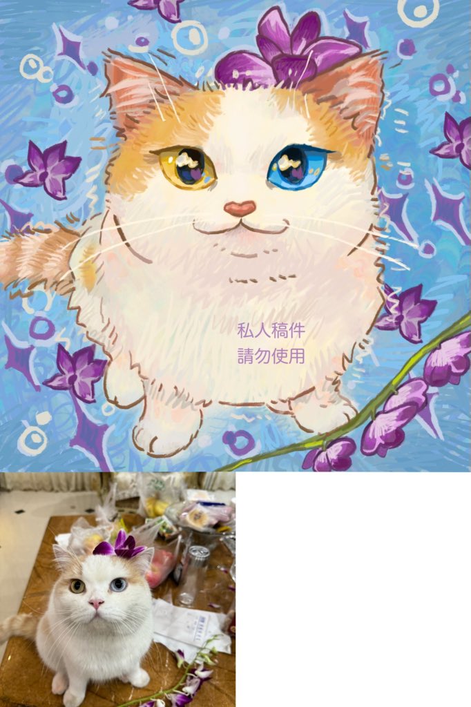 凉雨鱼(liangyuu) tweet media